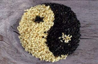 Sesame seeds yin yang